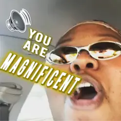 You Are Magnificent - Single - The Gregory Brothers You Are Magnificent - Single - The Gregory Brothers