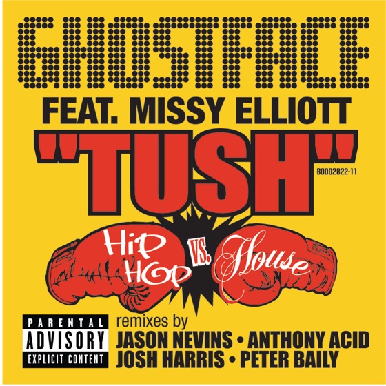 Cover artwork for Tush (feat. Missy Elliott)