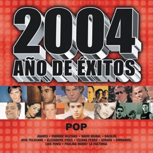 2004 Año de Éxitos: Pop