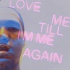 Love Me Till I'm Me Again