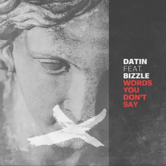 Words You Don't Say (feat. Bizzle) by Datin song reviws