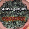Sanazion, 2007