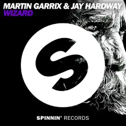 Wizard - Single - Martin Garrix