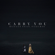 Carry You (feat. Fleurie) - Ruelle
