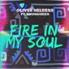 Fire in My Soul (feat. Shungudzo) - Single, 2018