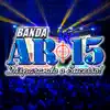 Banda AR 15