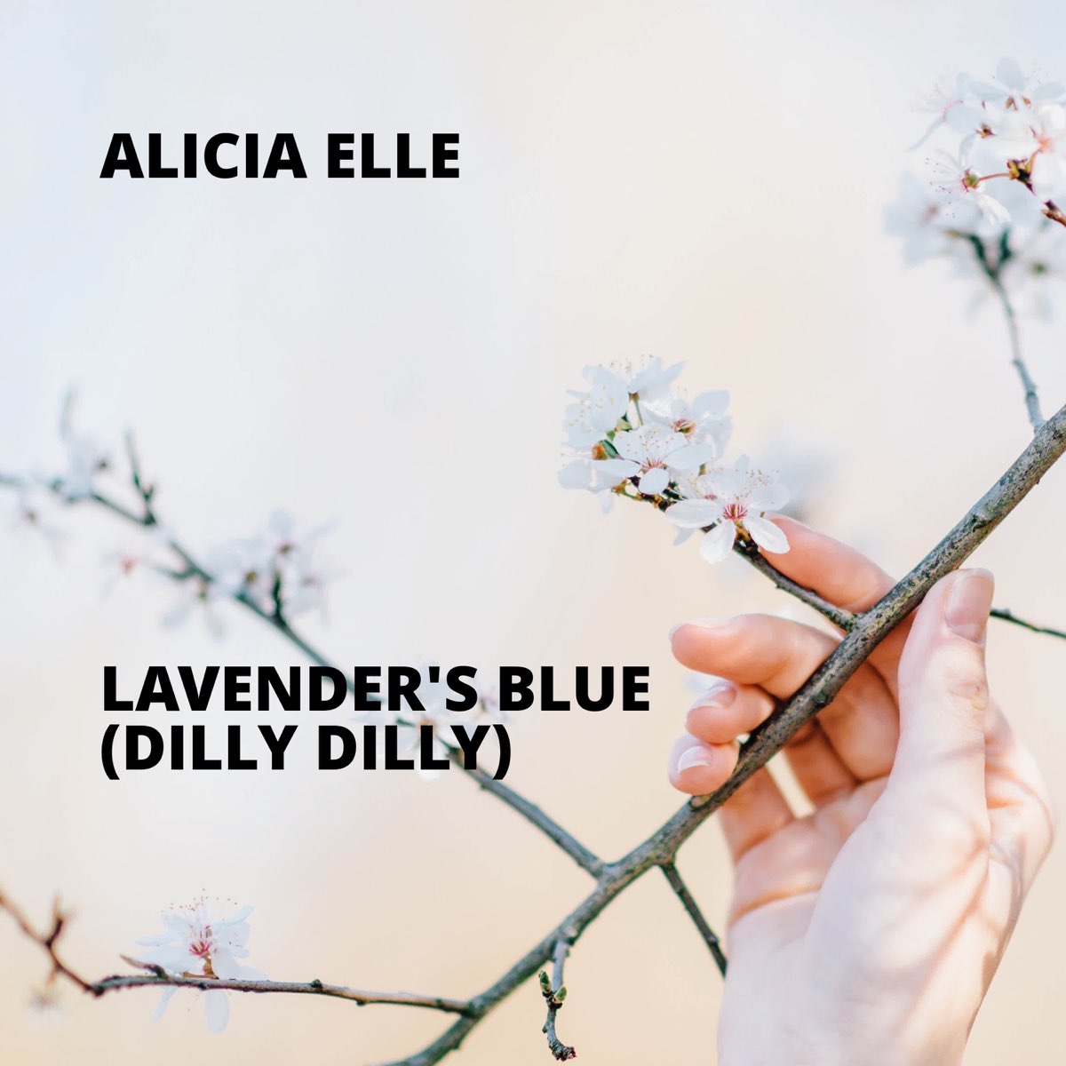 Who Sang The Song Lavender Blue Dilly Dilly