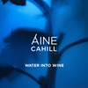 Water into Wine - Single