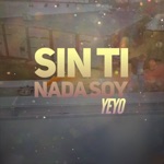 Sin Ti Nada Soy