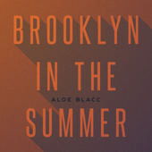 Brooklyn In the Summer-Aloe Blacc