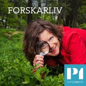 Forskarliv