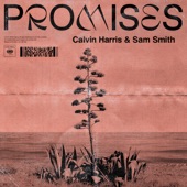 Calvin Harris - Promises (with Sam Smith)