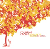 Counting Crows - Accidentally In Love