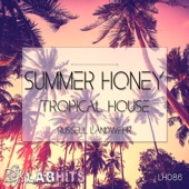 Summer Honey: Tropical House artwork
