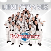 Libre Otra Vez artwork