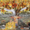 Sambas de Enredo Carnaval 2019: Série A - Various Artists