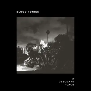 Album herunterladen Blood Ponies - A Desolate Place