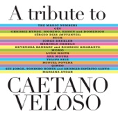 A Tribute To Caetano Velosó artwork