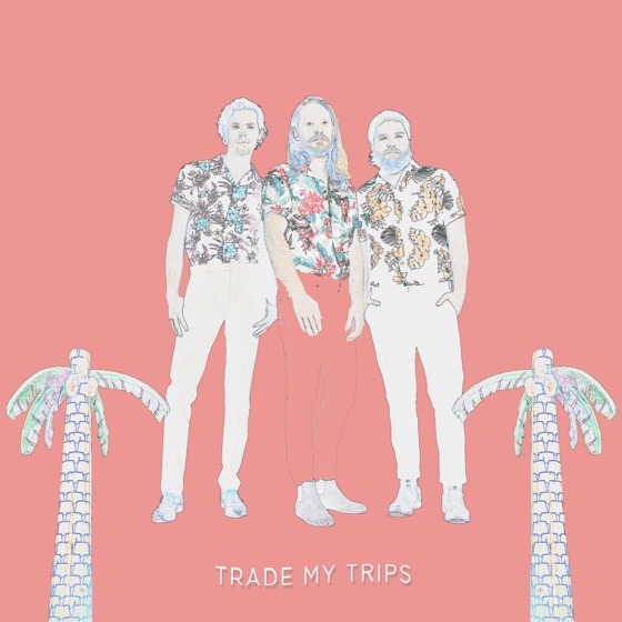 Cover artwork for Trade My Trips
