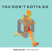 You Don't Gotta Go artwork