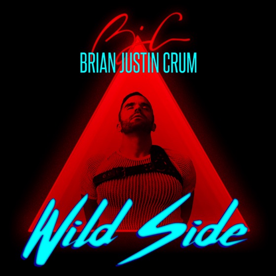 Cover artwork for Wild Side