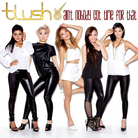 Cover artwork for Ain't Nobody Got Time For That
