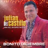 Bonito Diciembre - Single