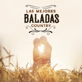 Las mejores baladas Country artwork