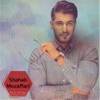 Shahab Mozaffari - Best Songs Collection, 2017