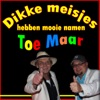 Dikke Meisjes Hebben Mooie Namen - Single