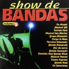 Show de Bandas, Vol. 5