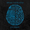 Cer-Pamant (feat. Catalin Chelemen from Coma) - Single