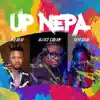 Up Nepa (feat. Seyi Shay & Mr Real) - Single album lyrics, reviews, download