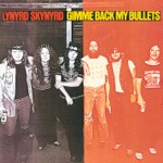 Lynyrd Skynyrd - Gimme Back My Bullets