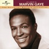 Marvin Gaye - Got To Give It Up