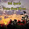 Praise from Africa (Remix) - Single album lyrics, reviews, download