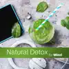 Natural Detox for Mind: Effective Sounds for Clear Mind, Release Negative Thoughts, Relaxation, Stimulate Your Brain, Focus and Concentration album lyrics, reviews, download