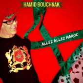 Allez Allez Maroc (Les lions de l'Atlas) artwork