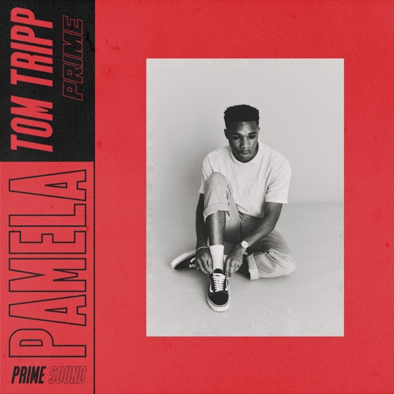 Cover artwork for Pamela