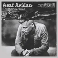 The Study On Falling (Deluxe) - Asaf Avidan