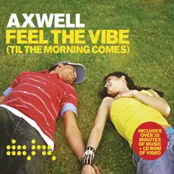 Feel the Vibe - Axwell