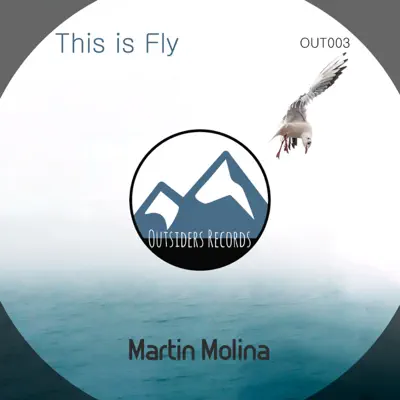 This Is Fly - Single - Martín Molina