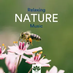 Relaxing Nature Music - Qi Gong, Yoga, Tai Chi, Reiki, Mindfulness Meditation & Inner Peace by Direction Relax album reviews, ratings, credits