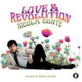 Love & Revolution artwork