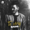 Te Strig - Single