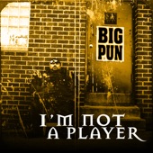 I'm Not a Player - Extended Version