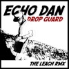 Drop Guard (The Leach Remix) - Single
