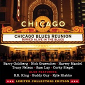 Chicago Blues Reunion - Left Handed Soul (feat. Nick Gravenites) [Live]