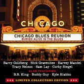 Chicago Blues Reunion - Buried Alive In The Blues