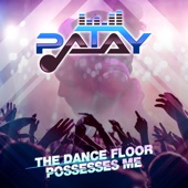 The Dance Floor Possesses Me (Radio Edit) artwork
